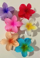 Hair clips