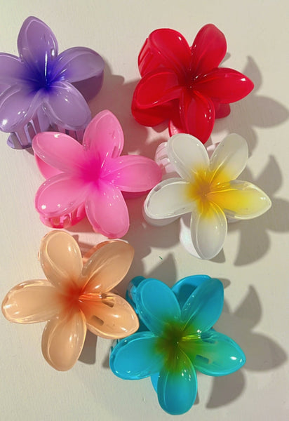 Hair clips