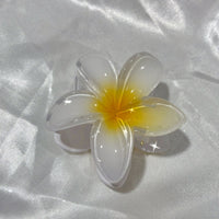 White Hair Clips
